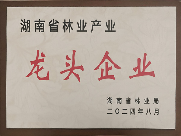 湖南省林业产业龙头企业