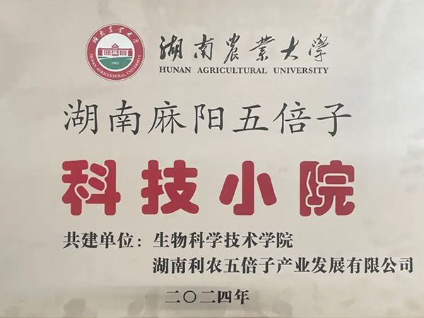 湖南麻阳五倍子科技小院