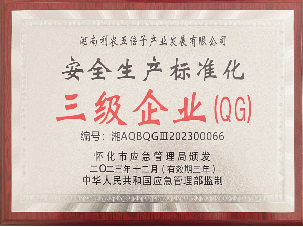 安全生产标准化证书2023年