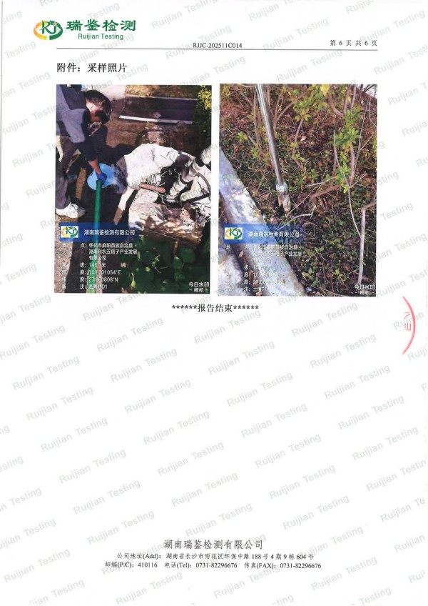 五倍子深（精）加工